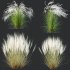 ntal grasses that elevate any exterior or landscape visualization with their delicate motion and architectural grace. This set features two species renowned for their feather-like texture and dynamic forms: - Thumbnail 7