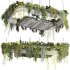 hanging indoor plants 02 - Thumbnail 4
