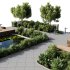 Outdoor Plants – town Square 2 - Thumbnail 4