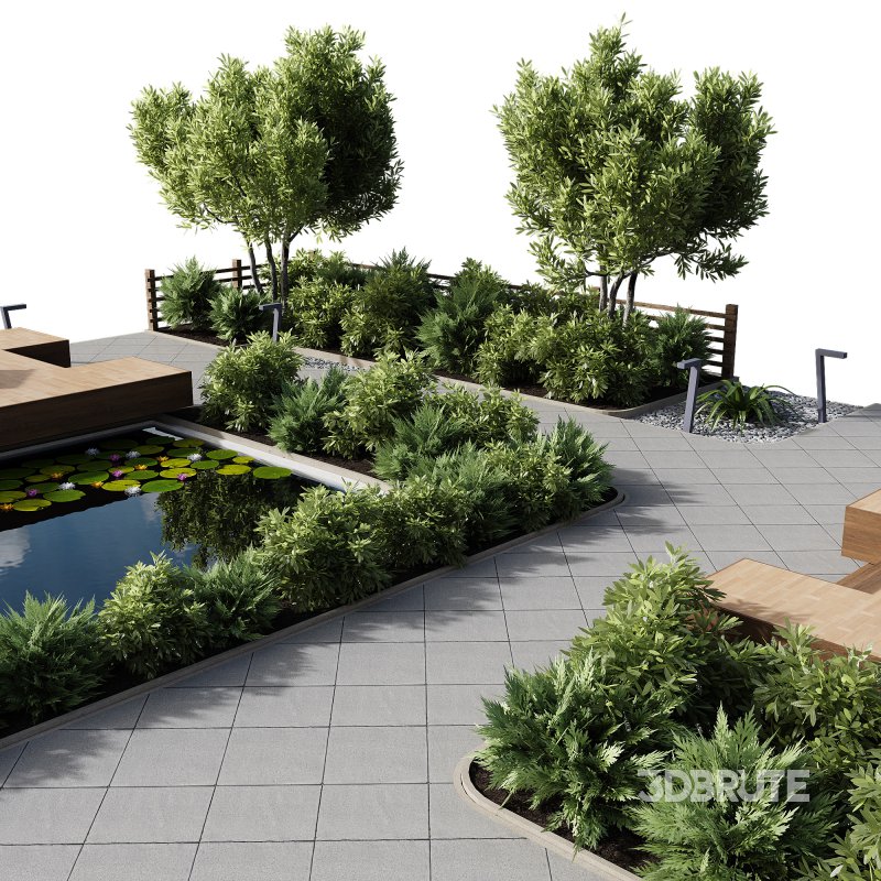 Outdoor Plants – town Square 2 Image 4