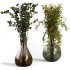 coolection Plants bouquet vase - Thumbnail 7