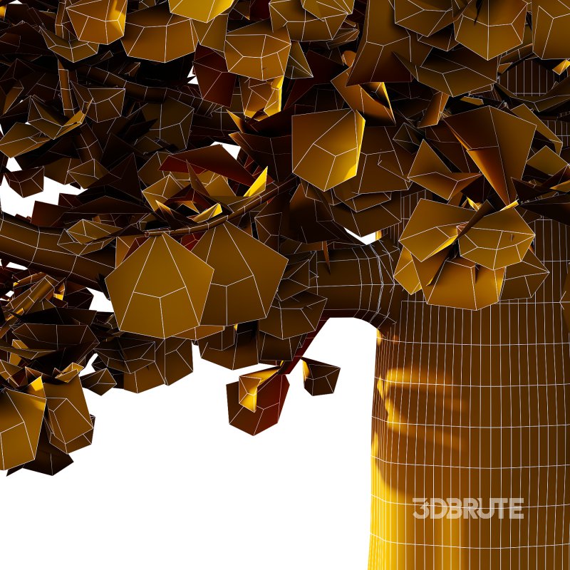 Maidenhair Ginkgo Biloba Tree 05 Image 4