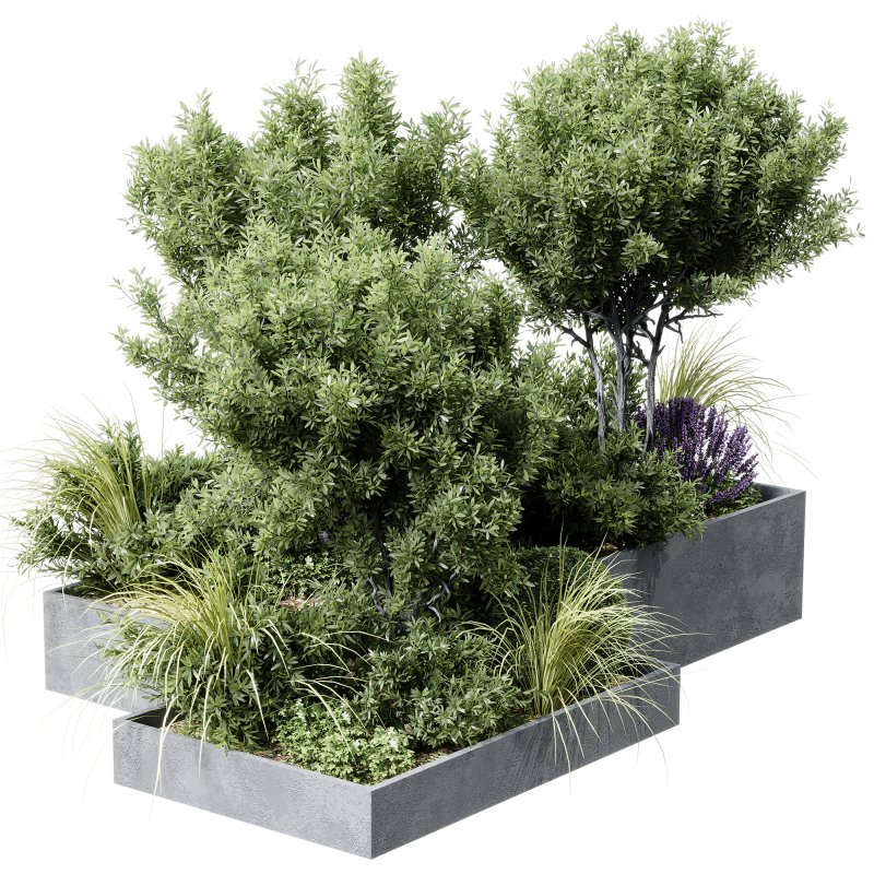 Outdoor plants 12 Image 2