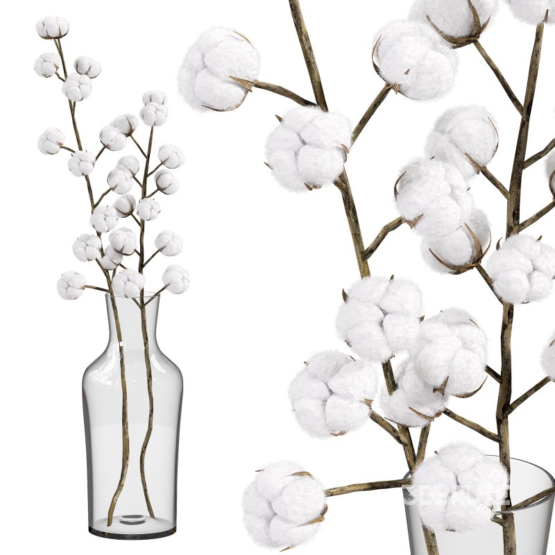 cotton bouquet Image 2