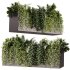 Indoor Plants – 24 Hanging plants - Thumbnail 5