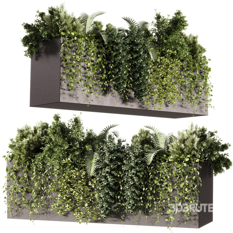 Indoor Plants – 24 Hanging plants Image 5