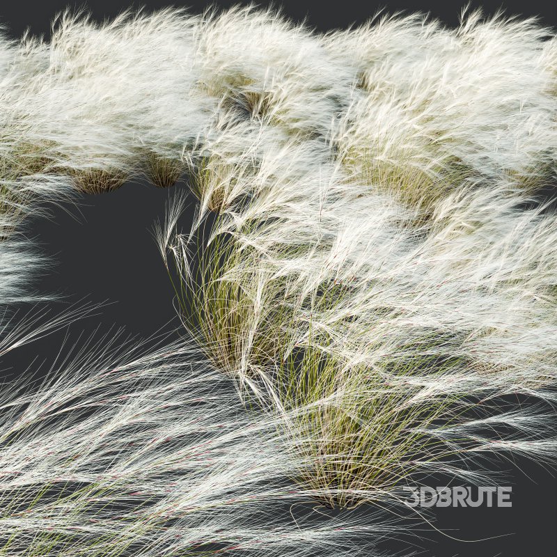 ntal grasses that elevate any exterior or landscape visualization with their delicate motion and architectural grace. This set features two species renowned for their feather-like texture and dynamic forms: Image 6
