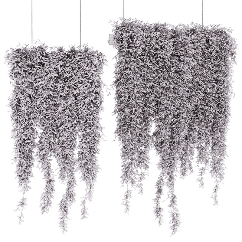 Indoor Plants – 21 hanging plants in pots Image 5