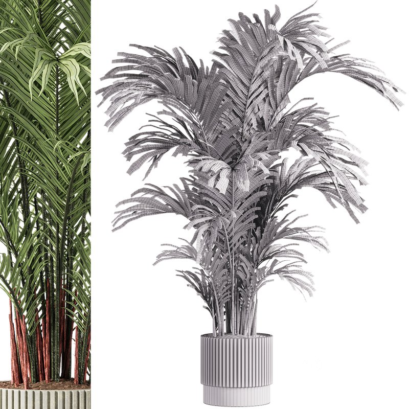 indoor plants – 61 plant in pot Image 1