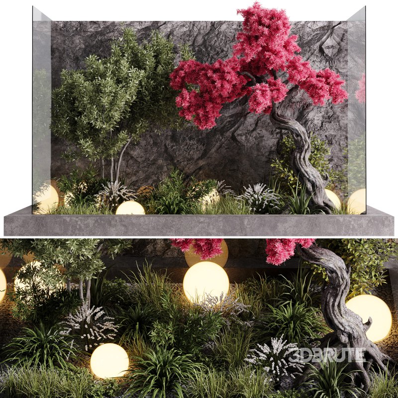 indoor plants – 60 plant in pot Image 2