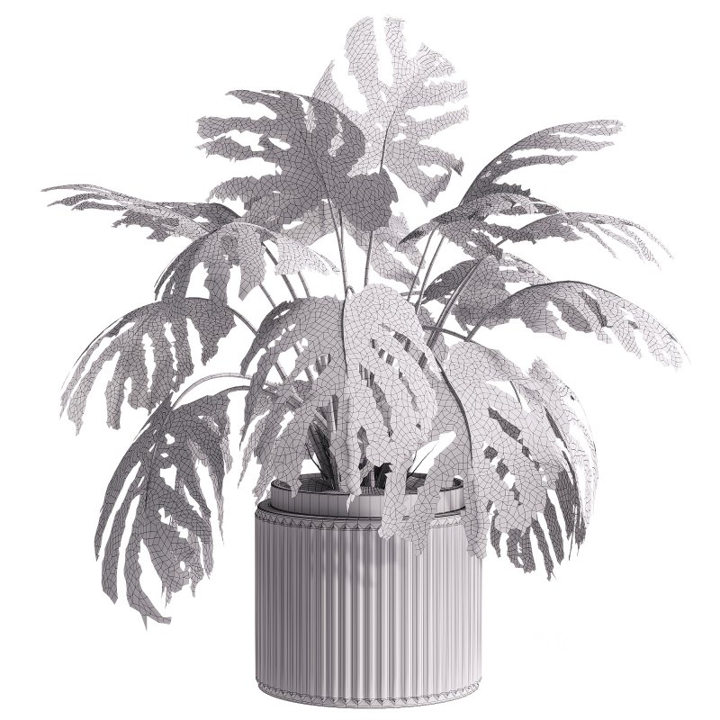 indoor plants – 33 plant in pot Image 2