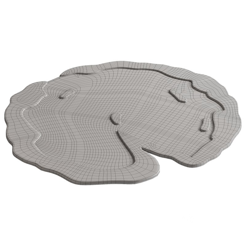 Round carpet Image 4