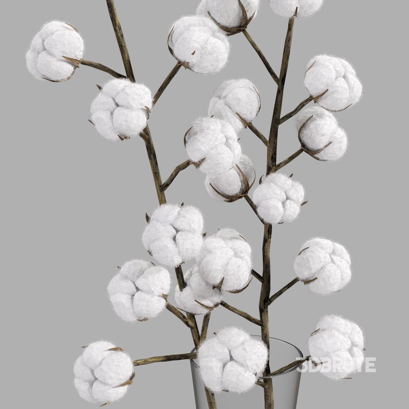 cotton bouquet Image 5