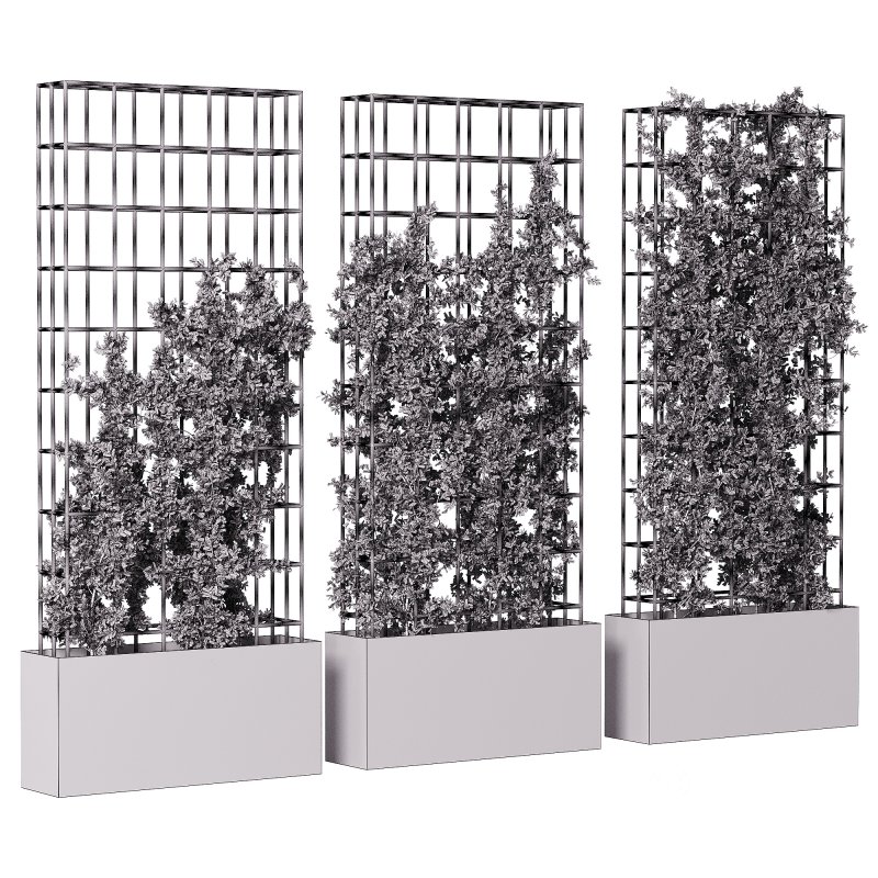 Vertical Garden Partiton plants 05 Image 2