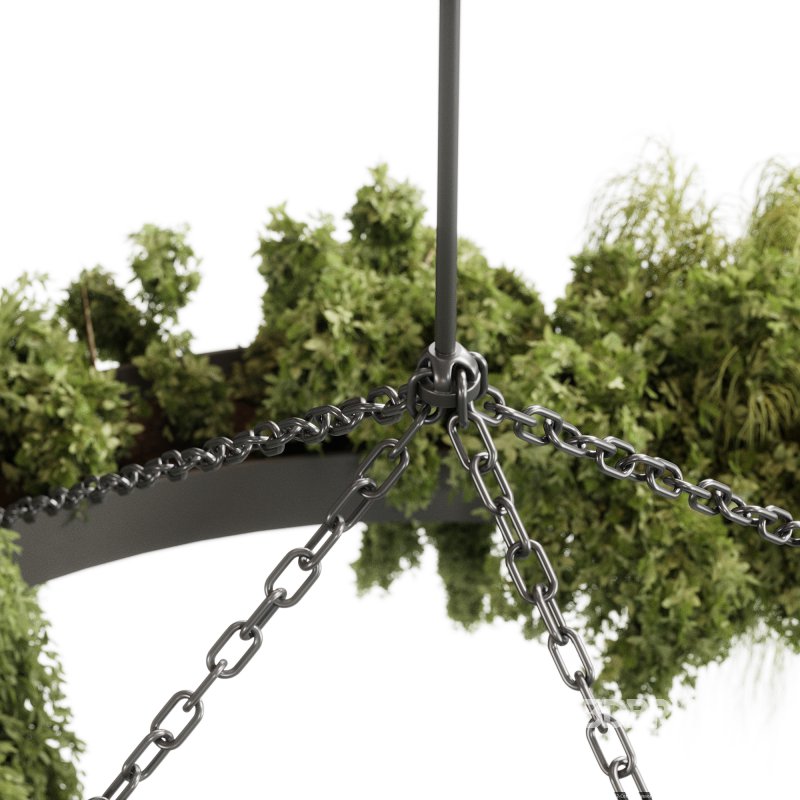 indoor plants 116 – Hanging indoor plant Image 2