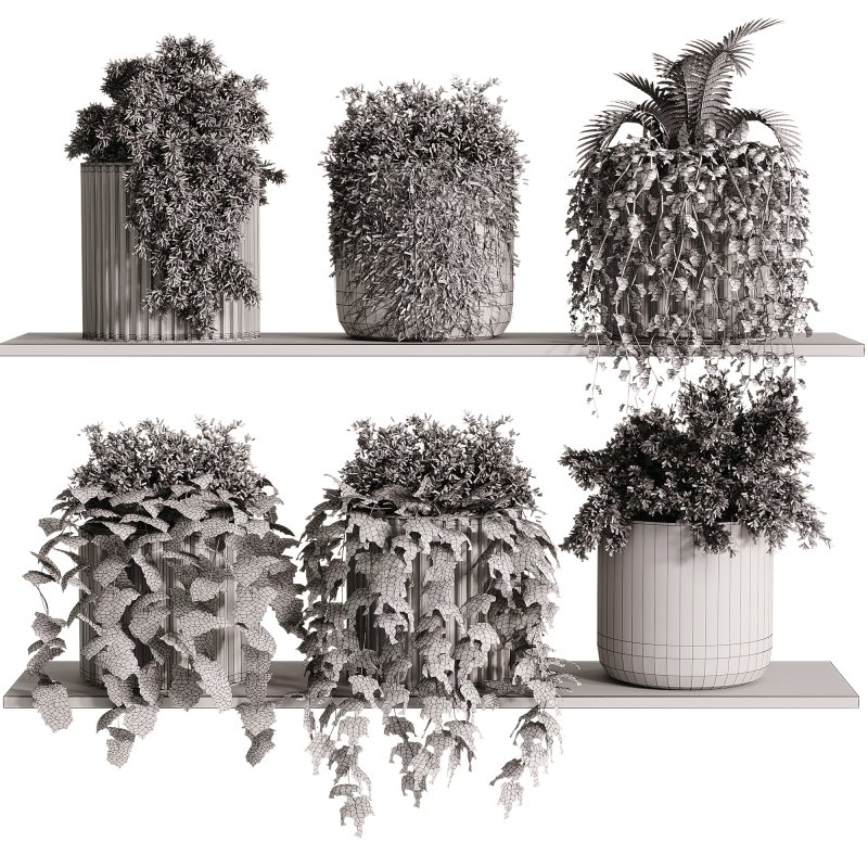 indoor plants – 29 hanging plant in pot Image 3