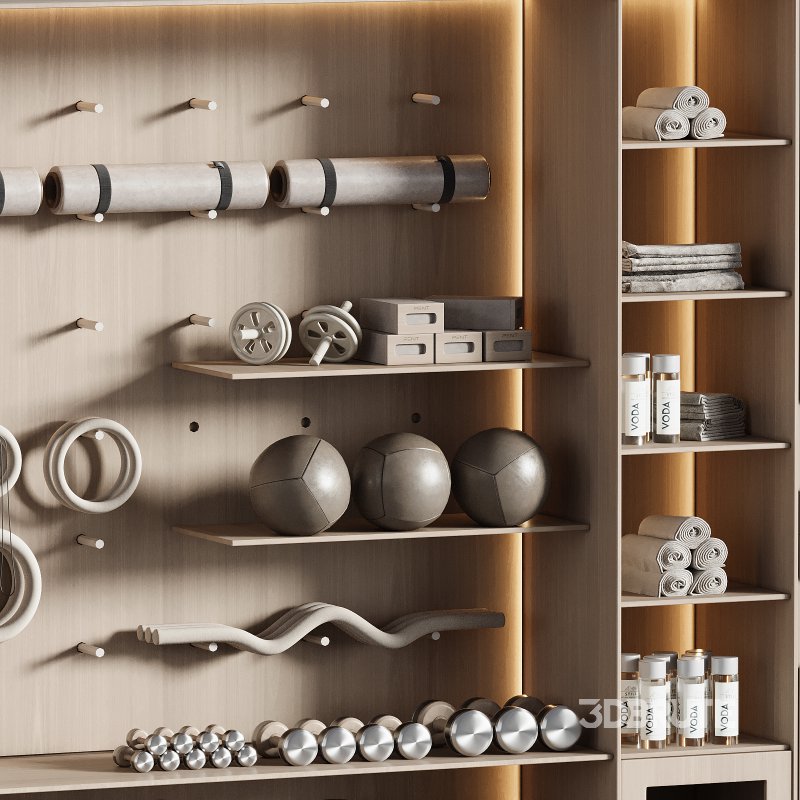 Home Gym Wall Rack with Equipment 04 Image 5