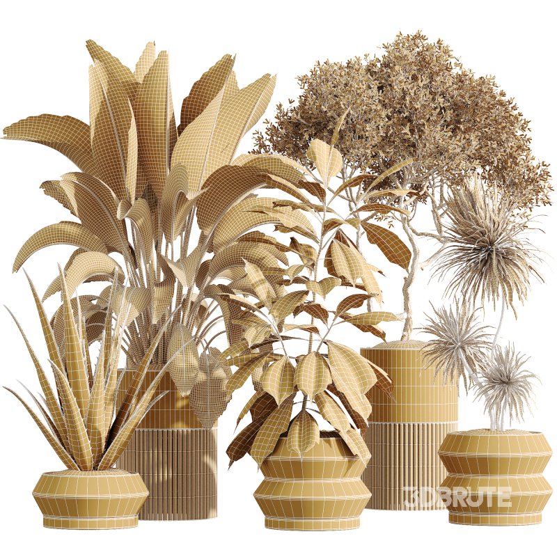 ntal value and botanical origin. Perfect for luxury interiors, modern lobbies, or minimalist environments, this set balances lush volume with sharp sculptural lines. Image 6