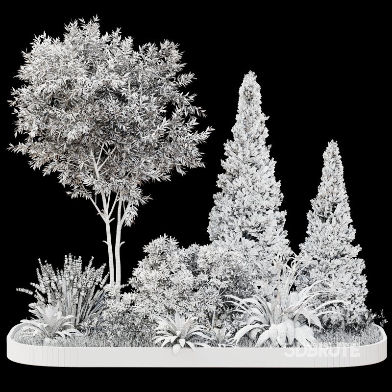 Outdoor Plant 44 Image 3