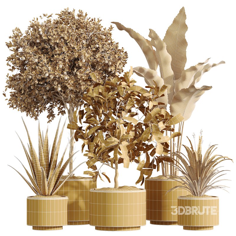 AV Indoor Plants Set 249 Image 6