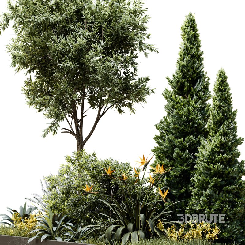 Outdoor Plant 44 Image 4