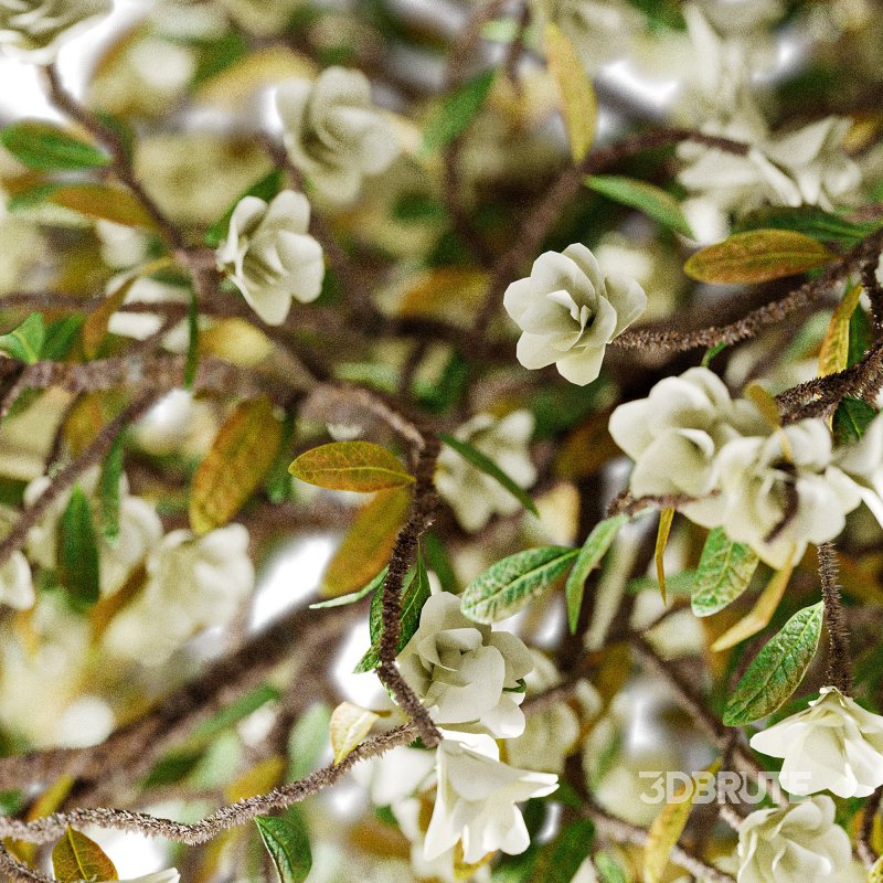 Decorative Bouquet set 26 Image 2