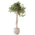 AV Indoor Plants Set 258 Olive Eucalyptus and Palm Paradise and Dracaena and Briful - Thumbnail 2