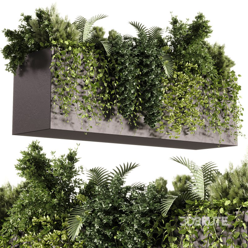 Indoor Plants – 24 Hanging plants Image 4