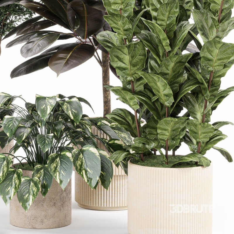 Indoor_plant_set_with_plant_tree_concrete_dirt_vase Image 6