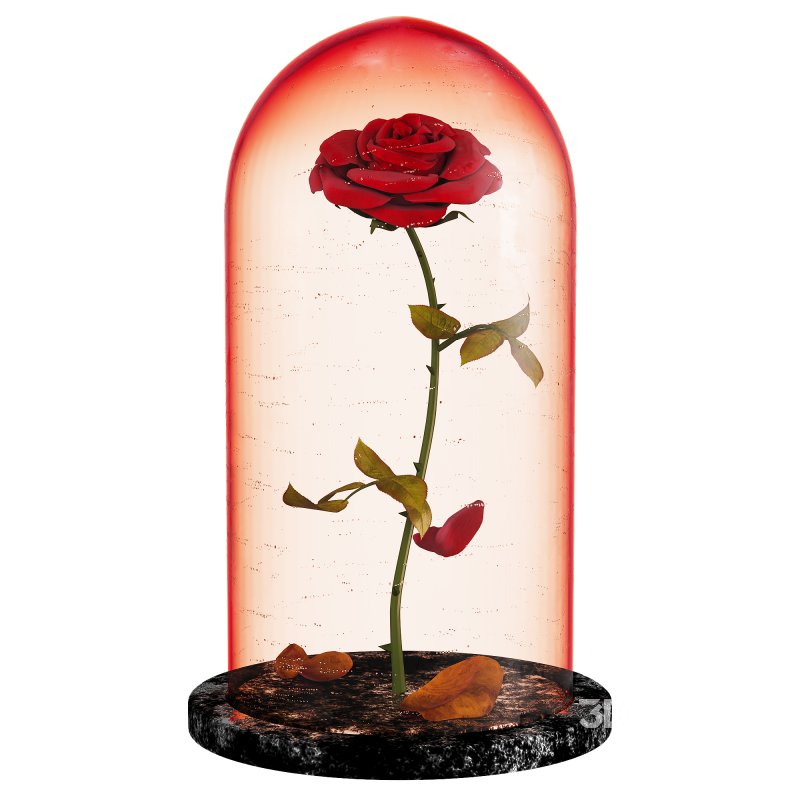 Rose in the movie Beauty and the Beast Image 5