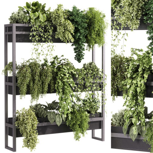 indoor plants – 54 Plant Stand