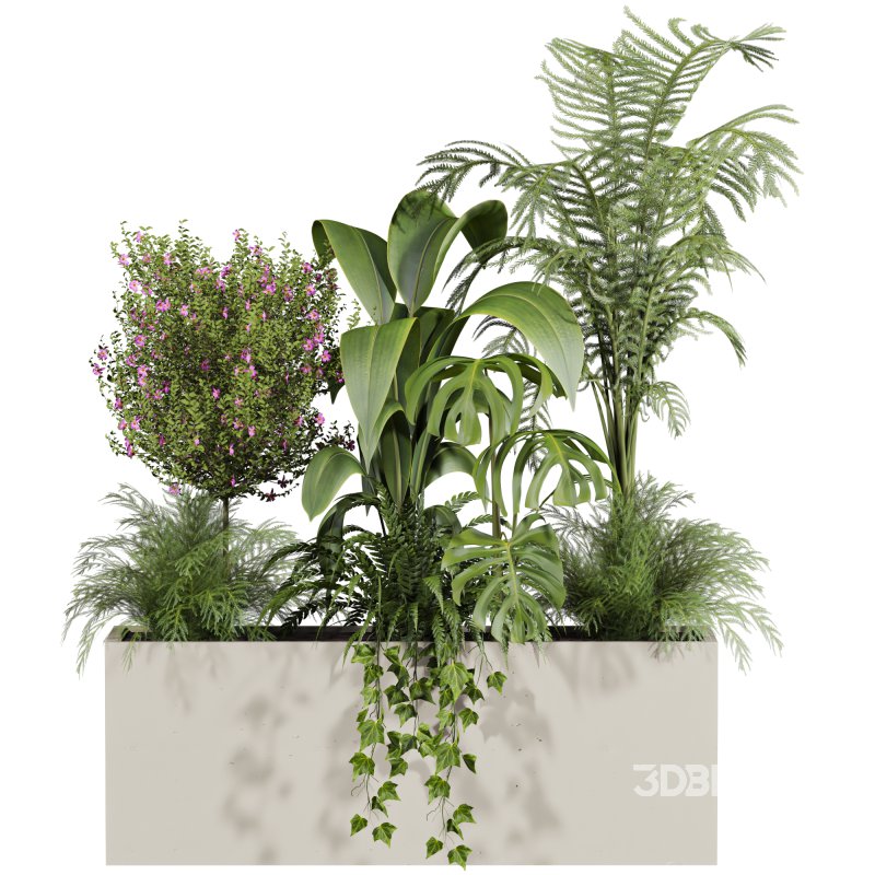 outdoor plants Image 2