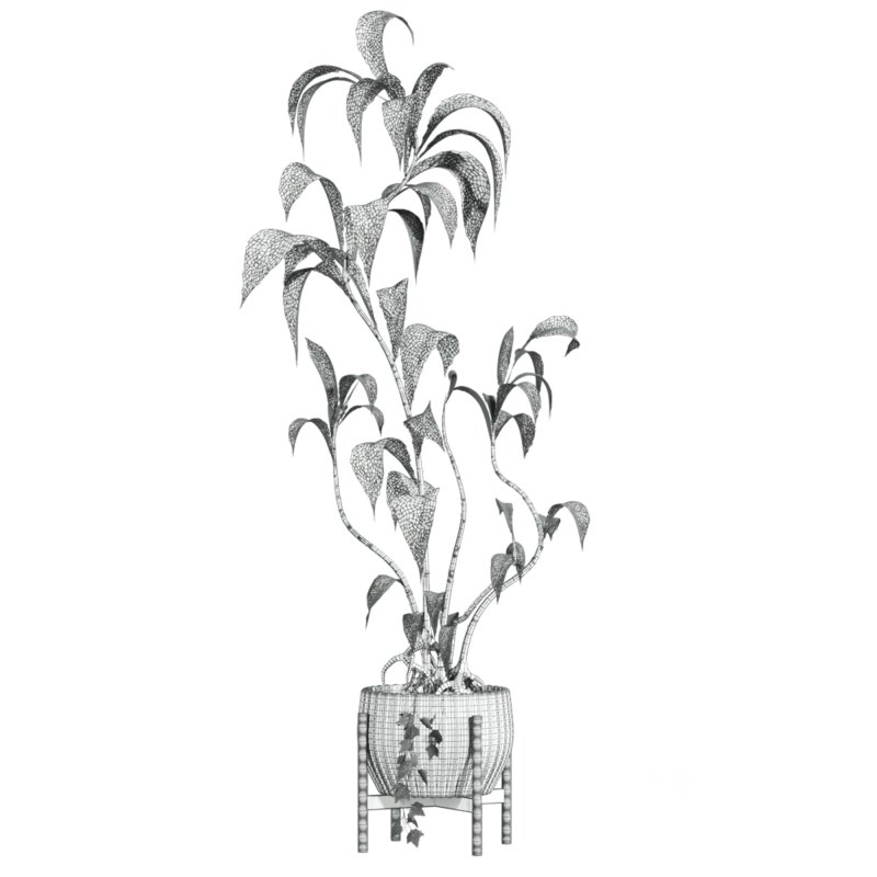 potted plant Image 3