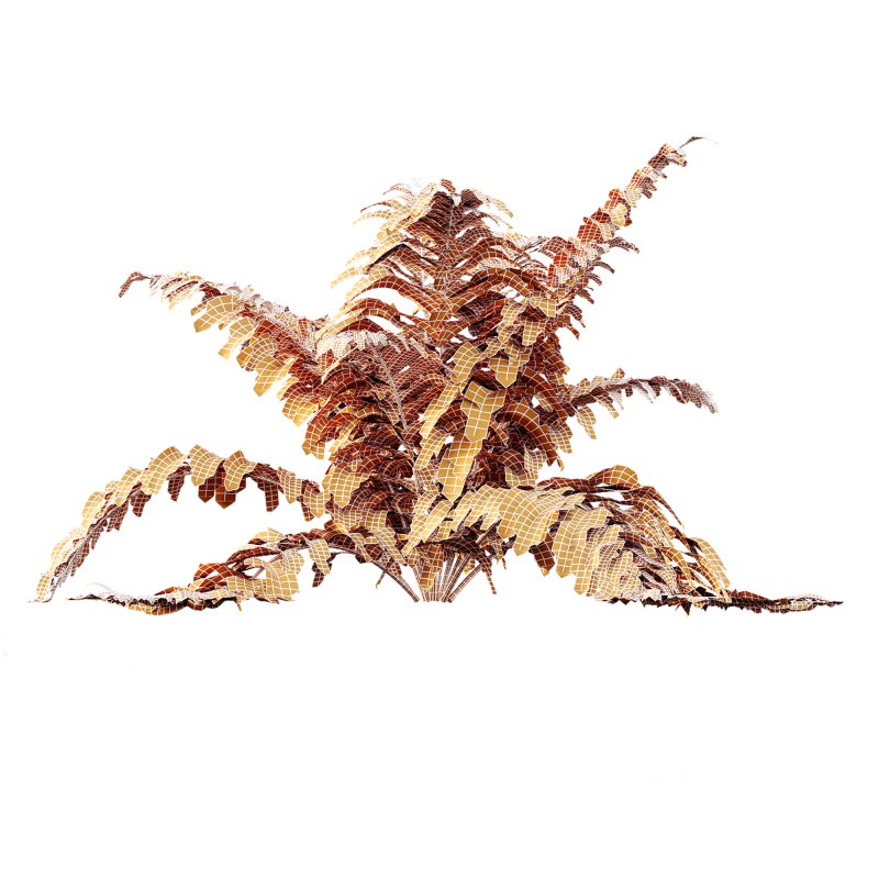 ntal gardens. It introduces a tender and romantic texture, ideal for rendering borders, wildflower beds, or traditional landscaping scenes. Image 12