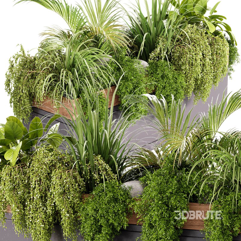 Indoor plant- 20 metall and wooden in box on stand Image 4
