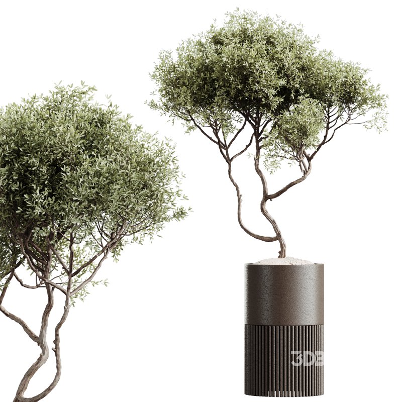 ntal value and botanical origin. Perfect for luxury interiors, modern lobbies, or minimalist environments, this set balances lush volume with sharp sculptural lines. Image 2