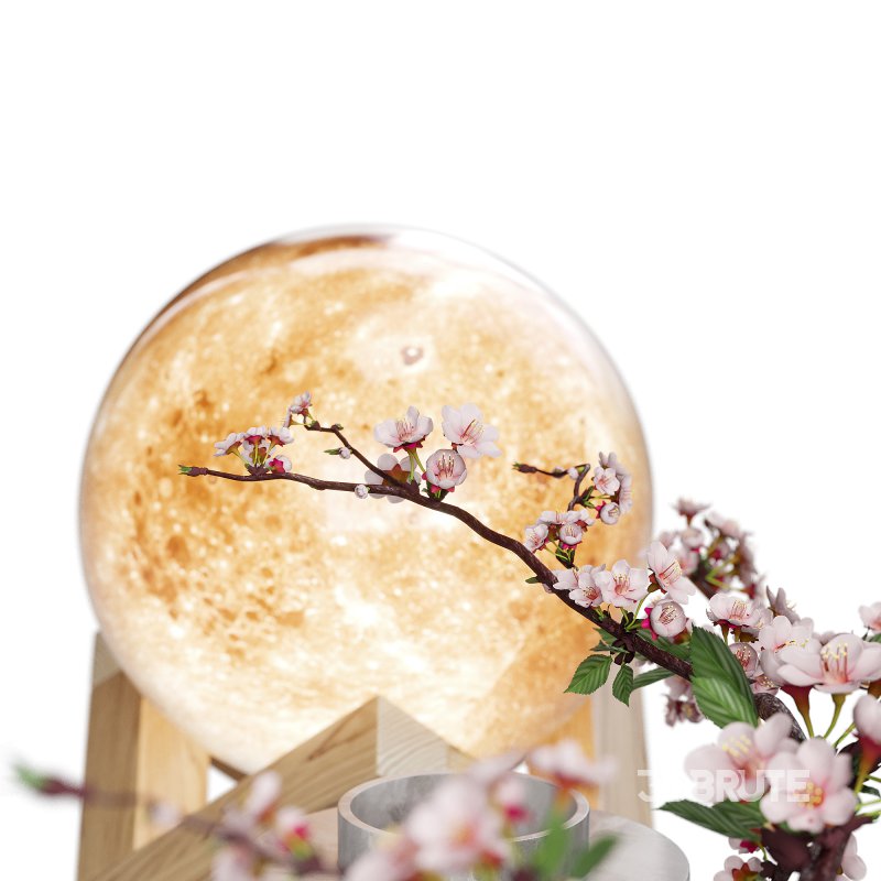 Decorative_set_21 Image 4