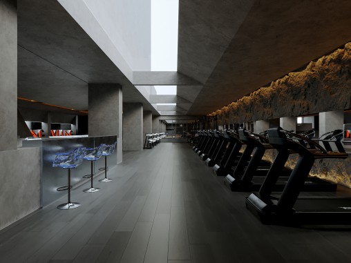 Modern Gym