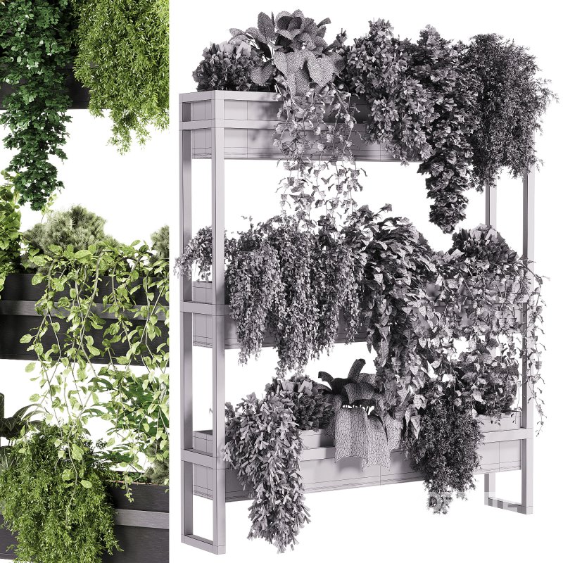 indoor plants – 54 Plant Stand Image 3