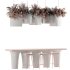Reception Desk With Hanging Plants-set 15 - Thumbnail 5