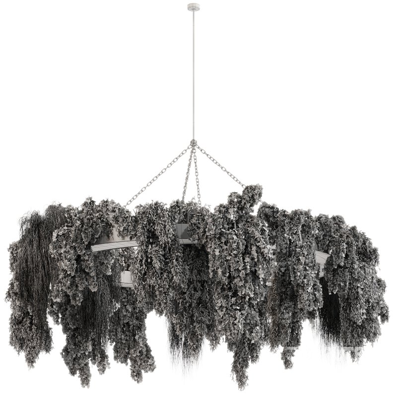 indoor plants 116 – Hanging indoor plant Image 1