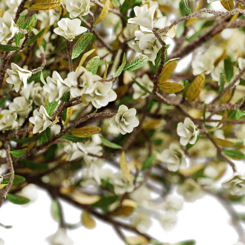 Decorative Bouquet set 20 Image 3