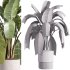 indoor plants – 39 plant in pot_corona - Thumbnail 3