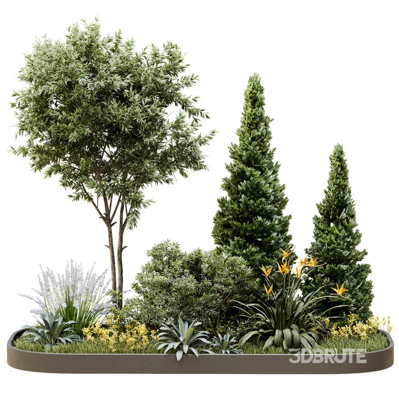 Outdoor Plant 44 Image 1