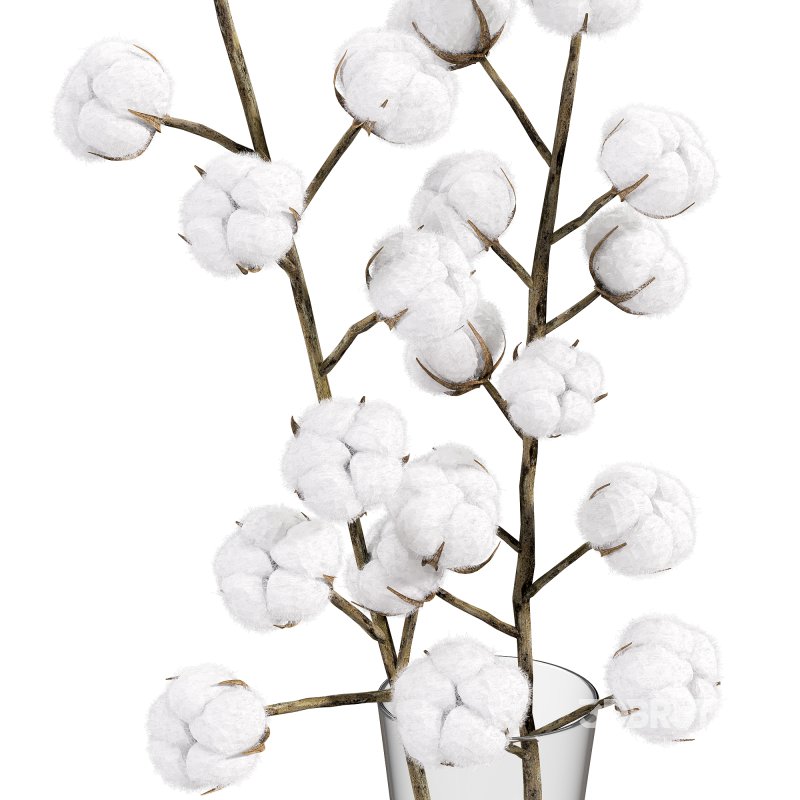cotton bouquet Image 1