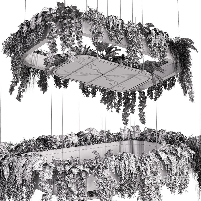 hanging indoor plants 02 Image 3