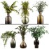 coolection Plants bouquet vase - Thumbnail 1
