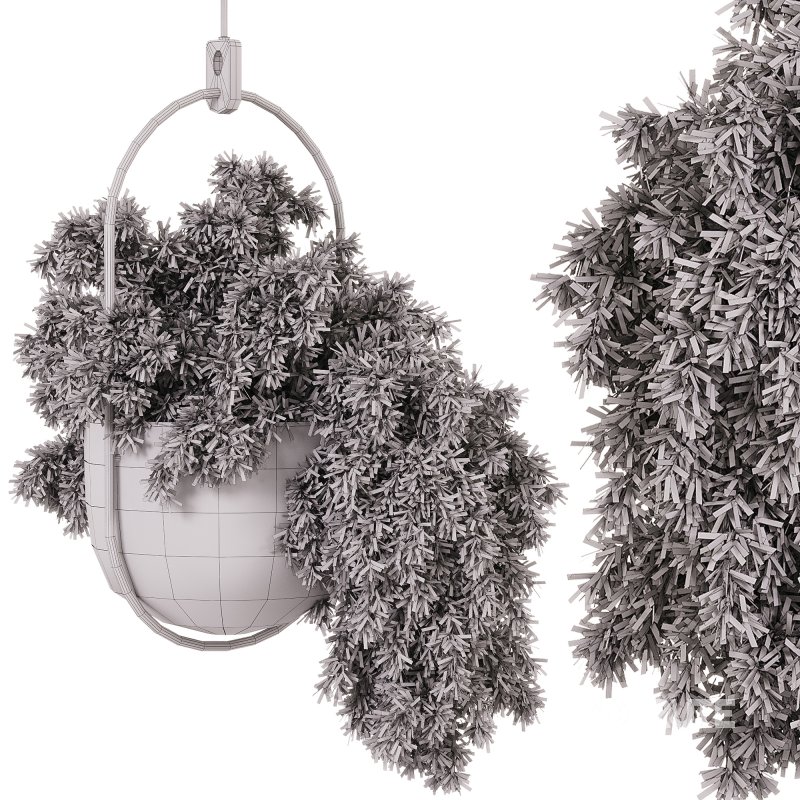 Indoor Plants – 26 Plant in pot Image 1