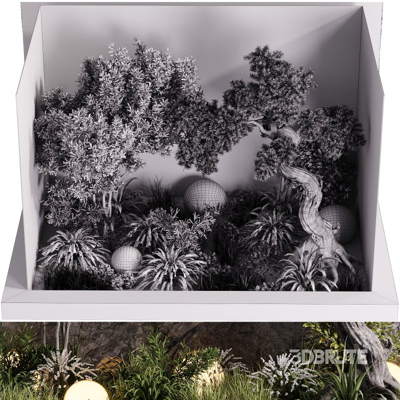 indoor plants – 60 plant in pot Image 1