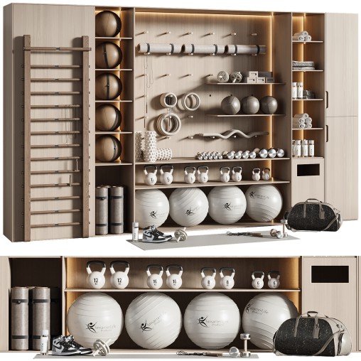 Home Gym Wall Rack with Equipment 04